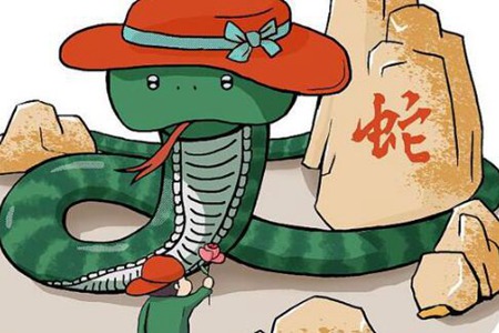 属蛇的和什么属相最配？三个与属蛇相配求财合财 图片13