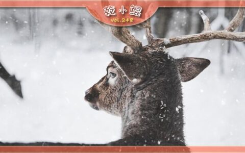 出生在「冬季」会对我们的命运有哪些影响？