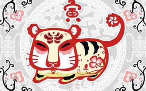 面对挫折只会勇往直前的生肖