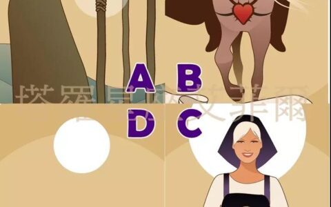 塔罗占卜：2020创业成功率有多高？