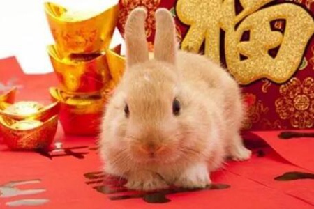属兔人2022年运势运程每月运程,生肖兔感情事业健康运势 图片18 属兔人2022年运势运程每月运程,生肖兔感情事业健康运势 图片17