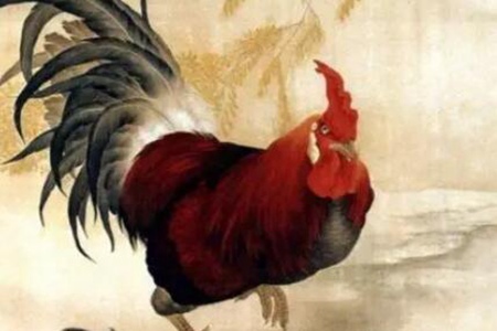 属鸡女几月份出生的命最好？出生这三个属鸡女的性格命运解 图片15