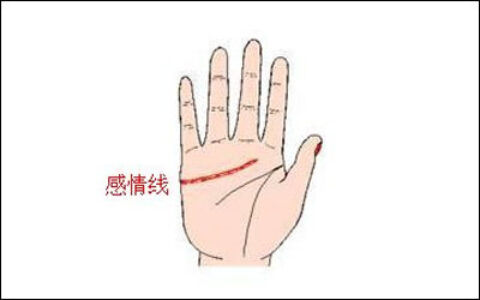 爱情线是哪条手相爱情线分析