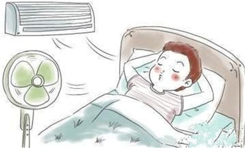 夏天没有空调活不下去的生肖 图片1