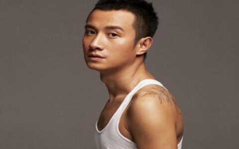 文章的八字命理分析，文章事业与婚姻会如何？