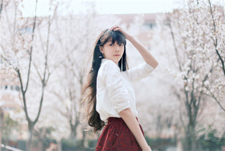 能赚钱又花钱的生肖女 图片1