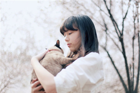 能赚钱又花钱的生肖女 图片3