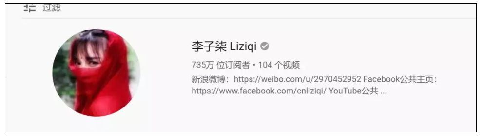 火遍全球的东方仙子李子柒星盘分析：人红是非多 图片1