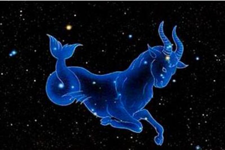 12月23日是什么星座？摩羯座12月23日出生性格解读 图片15