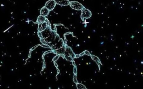 10月29日是什么星座？天蝎座的人占有欲很强