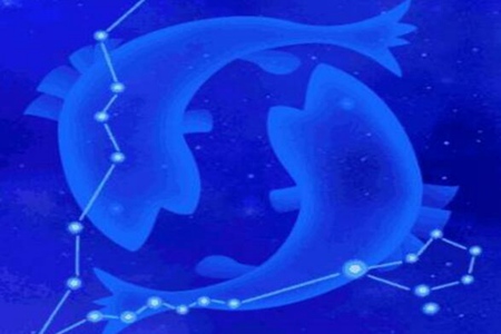 2月24日是什么星座?双鱼座十二生肖中最愚蠢的 图片16 2月24日是什么星座?双鱼座十二生肖中最愚蠢的 图片15