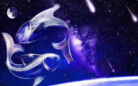 2月24日是什么星座？双鱼座十二生肖中最愚蠢的