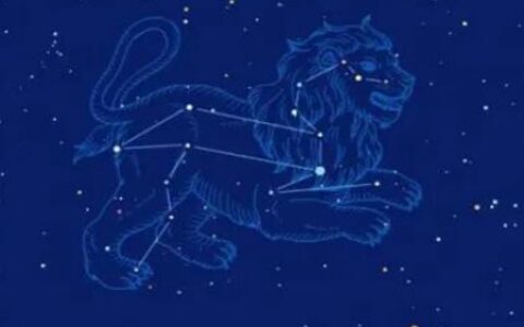 8月18日是什么星座？狮子座自尊心高的星座