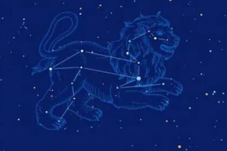 8月18日是什么星座？狮子座自尊心高的星座 图片5