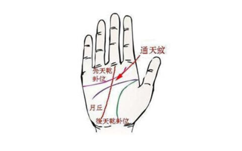手上有通天纹的人是否能力卓越呢？