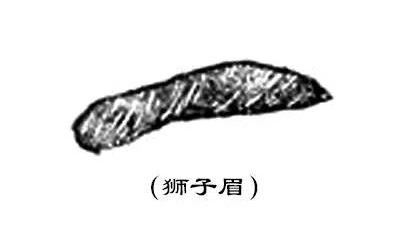 有这五种眉毛的人富贵双全能飞黄腾达! 图片8 有这五种眉毛的人富贵双全能飞黄腾达! 图片7