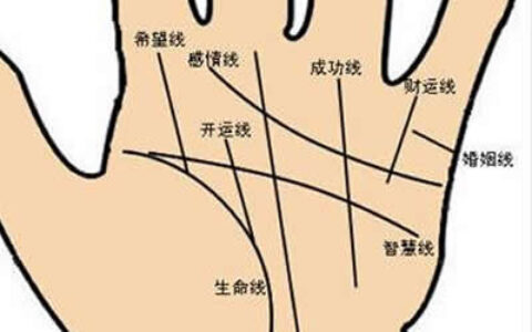什么是财运线手相财运线在哪里