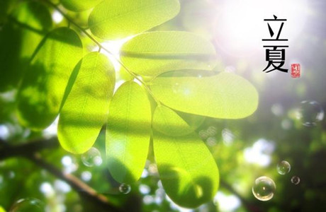 立夏时节12生肖如何旺运 图片1