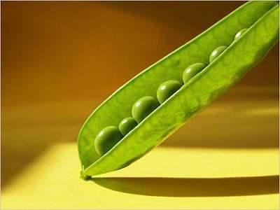 立夏时节12生肖如何旺运 图片13