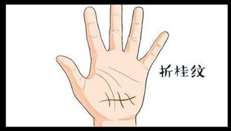 手上有这些纹可享富贵,有一种就了不得了 图片4 手上有这些纹可享富贵,有一种就了不得了 图片3