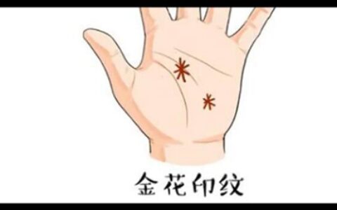 手上有这些纹可享富贵，有一种就了不得了