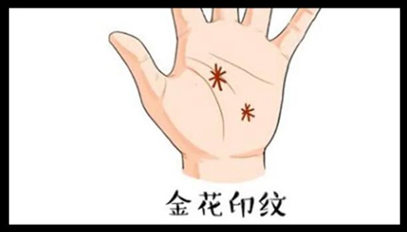 手上有这些纹可享富贵,有一种就了不得了 图片10 手上有这些纹可享富贵,有一种就了不得了 图片9