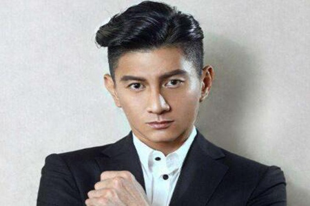 吴奇隆的八字命理分析,吴奇隆事业与婚姻会如何? 图片18 吴奇隆的八字命理分析,吴奇隆事业与婚姻会如何? 图片17