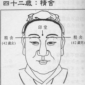 命中注定福气旺的三大面相 图片3