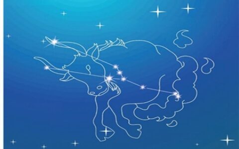 金牛座今日运势查询，金牛座12月星座运势解读