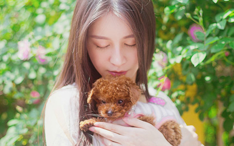 天生令人嫉妒的三大生肖 图片2 天生令人嫉妒的三大生肖 图片1