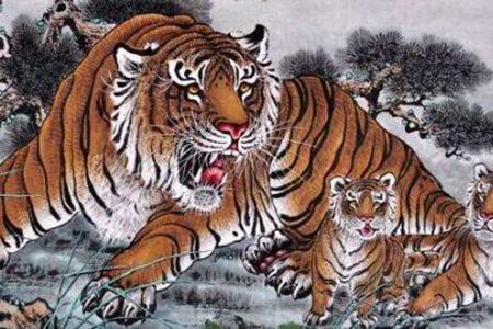 86年属虎36岁有一灾，86年属虎人本命年的财富运势 图片15