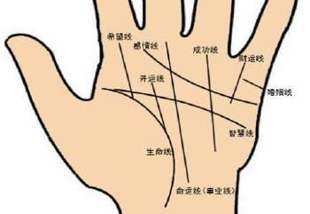 手相看你婚姻线代表着什么 图片1