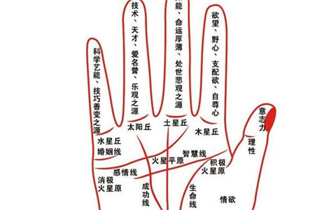 手相看你婚姻线代表着什么