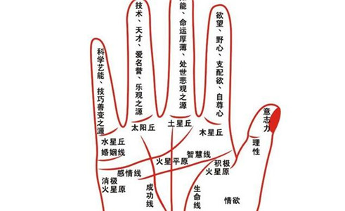 手相看你婚姻线代表着什么 图片5