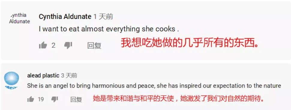 火遍全球的东方仙子李子柒星盘分析：人红是非多 图片5