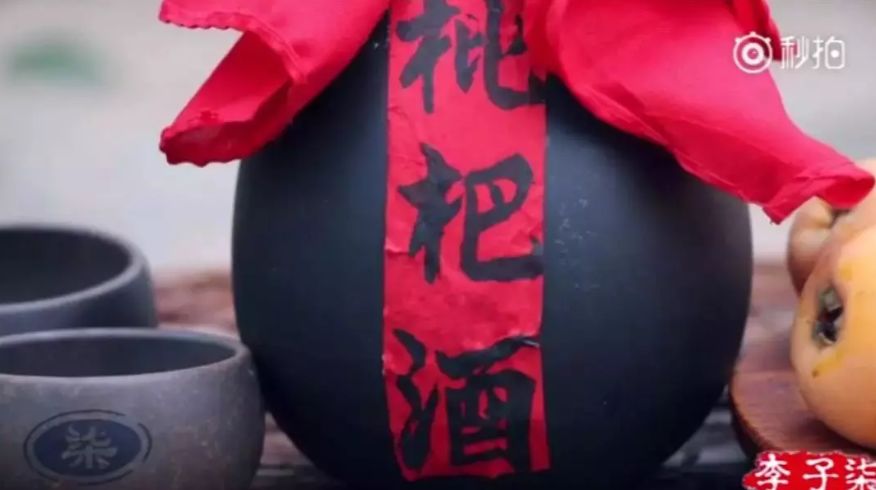 火遍全球的东方仙子李子柒星盘分析：人红是非多 图片19