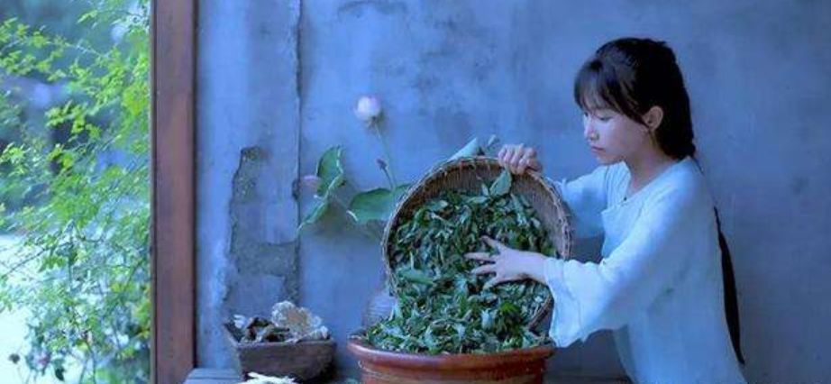 火遍全球的东方仙子李子柒星盘分析：人红是非多 图片43