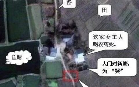 狗的忌讳你知道吗