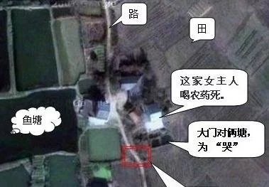 狗的忌讳你知道吗 图片4 狗的忌讳你知道吗 图片3