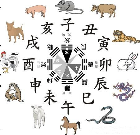 12生肖对应的8大风水方位 图片2 12生肖对应的8大风水方位 图片1