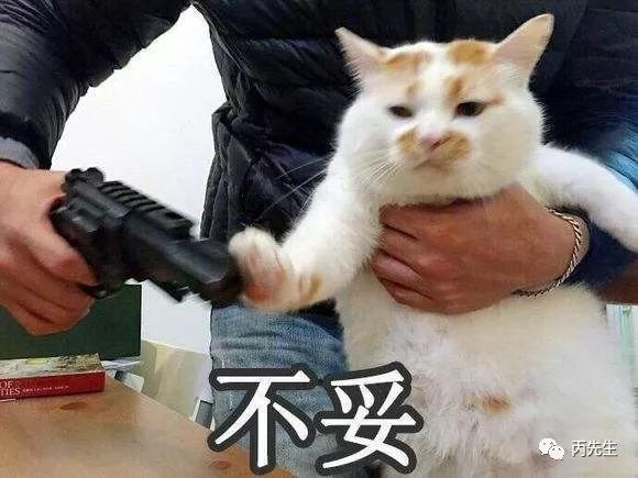 八字教你如何选择适合你命理特征的另类专业 图片14 八字教你如何选择适合你命理特征的另类专业 图片13