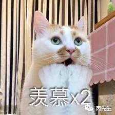 八字教你如何选择适合你命理特征的另类专业 图片28 八字教你如何选择适合你命理特征的另类专业 图片27