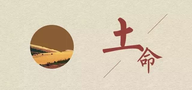 月运|戊戌年农历二月五行运势分析（03.17-04.15） 图片13