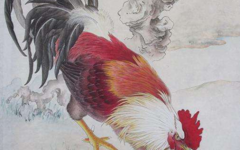 2005年出生的今年几岁 属鸡的男人命运好不好