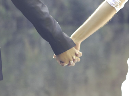 男兔女蛇能过一生吗 属蛇女和属兔男合适吗 图片1